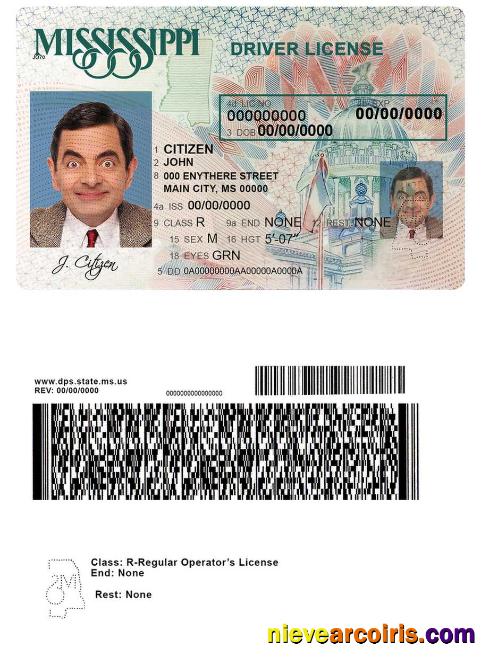 USA Mississippi driving license